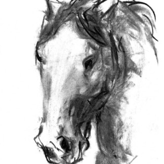 Image of Soul in Shadow by Diana Hand